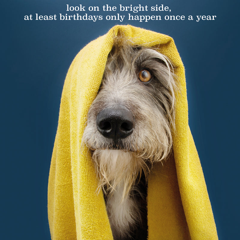 Mind Charity Dog & Blanket Birthday Card