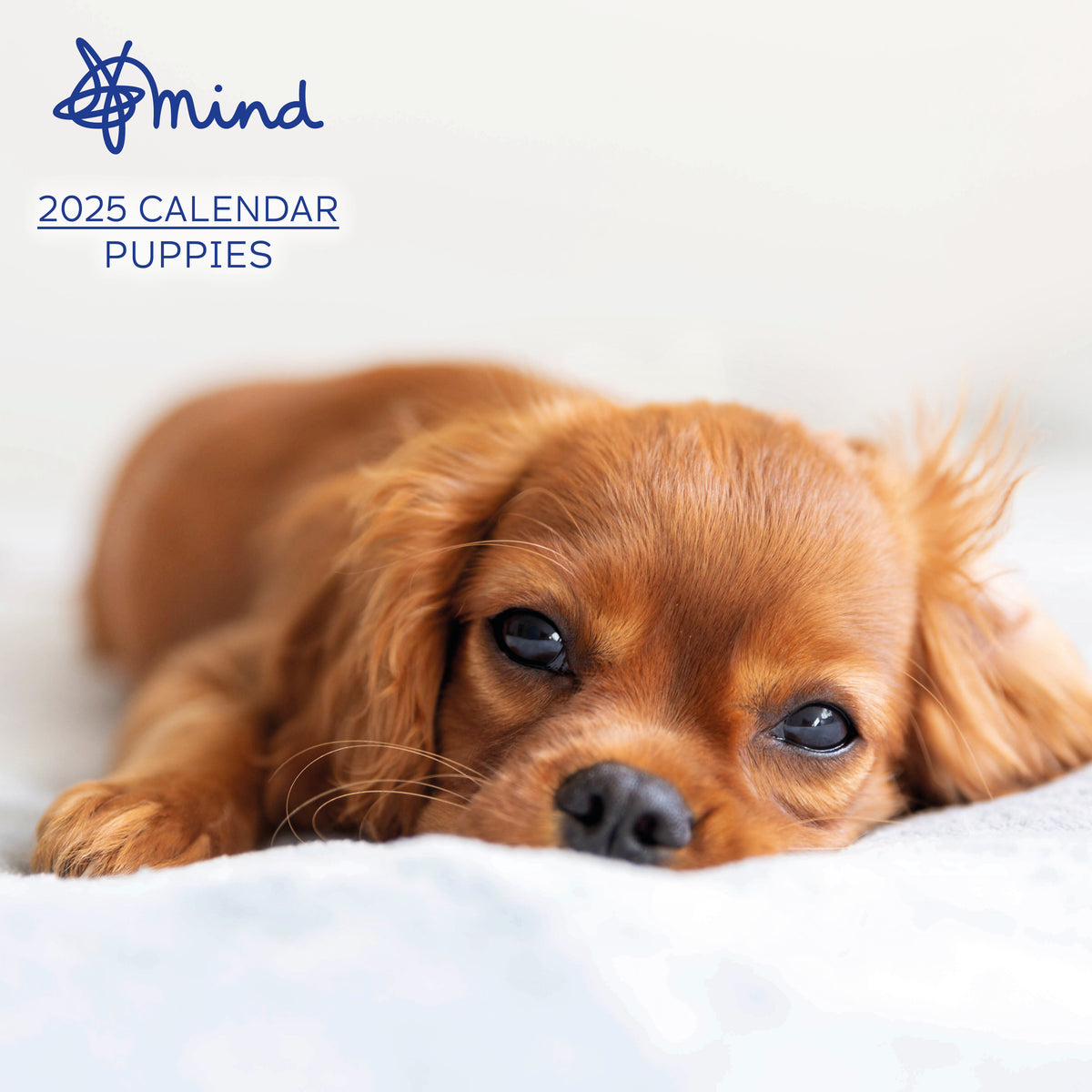 Cute Puppies Mind Charity Calendar 2025 Mind Online Store