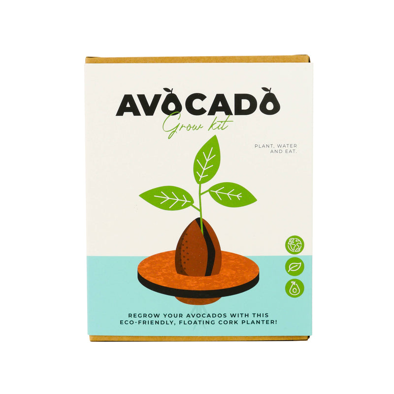 Avocado Grow Kit : Grow Your Own Avocado Plant
