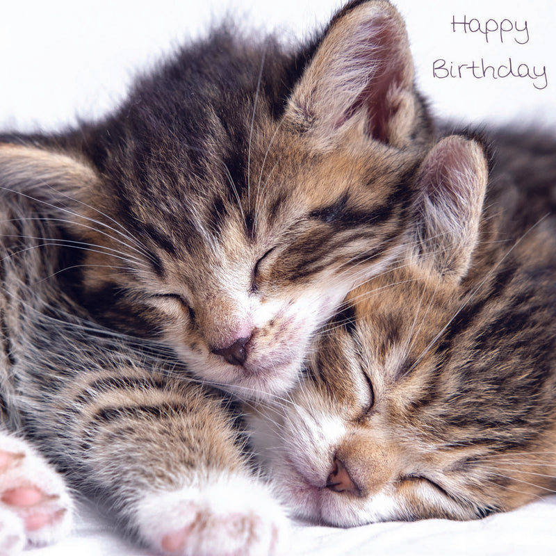 Mind Charity Cosy Kittens Birthday Card