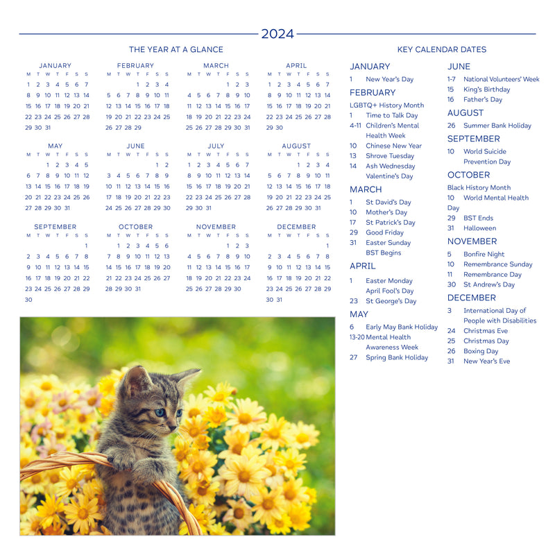 Cute Kittens Mind Charity Calendar 2024