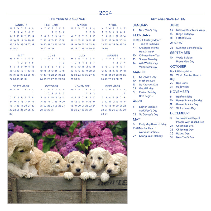 Cute Puppies Mind Charity Calendar 2024