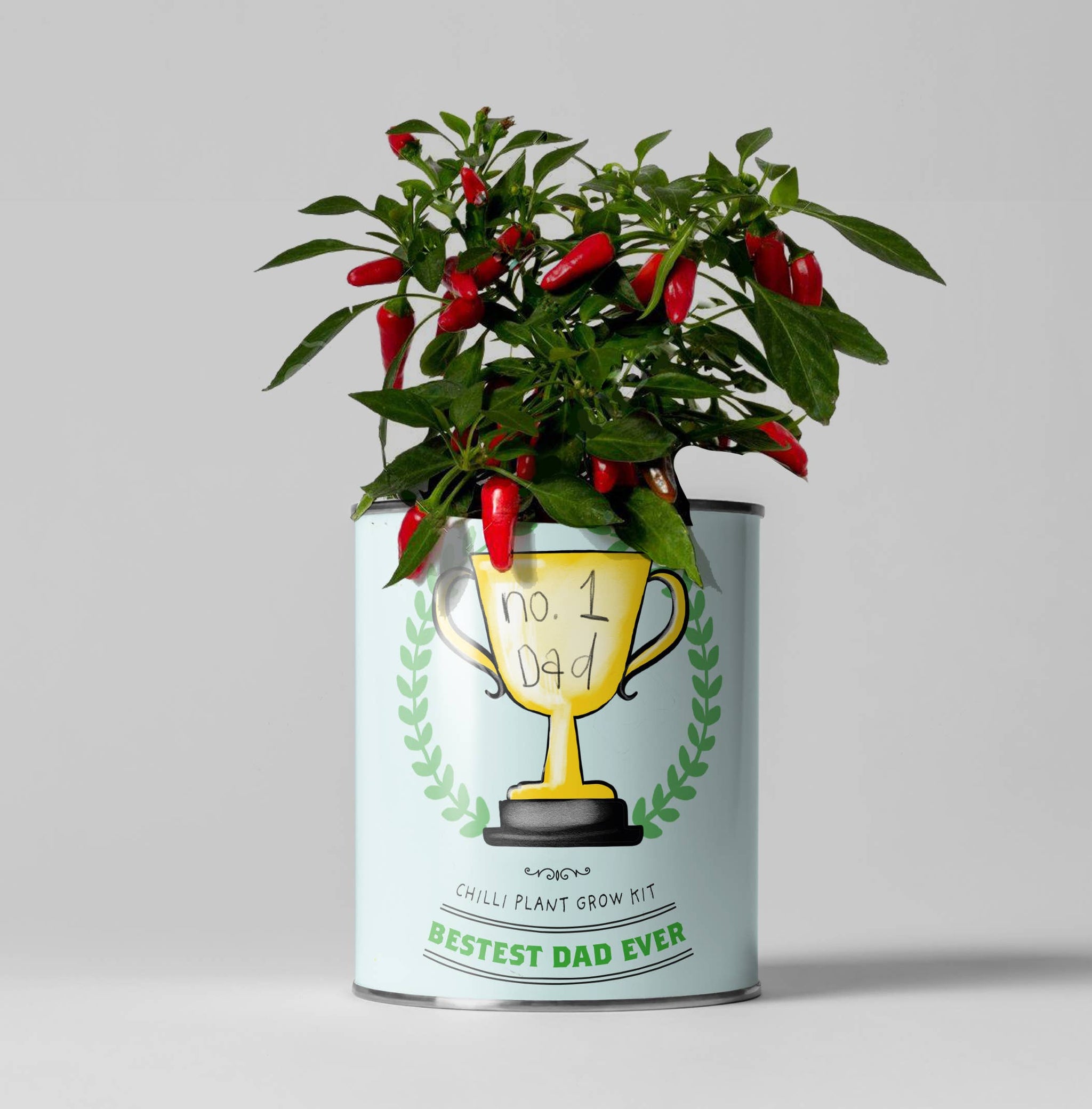 Grow Your Own Chilli Plant Kit