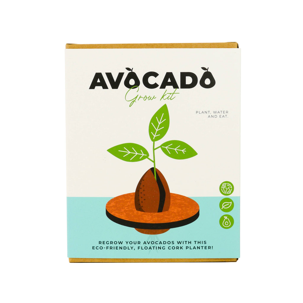 Avocado seed kit with a sustainable cork planter, designed for re-growing avocados in an eco-friendly and stylish manner.