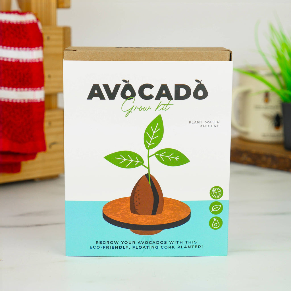 A compact avocado grow kit featuring soil, seeds, and instructions for cultivating your own avocado plant at home.