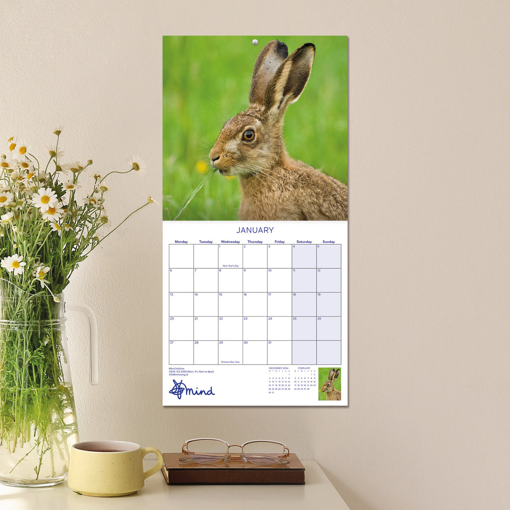 Inside the calendar on month of January with a picture of a hair in the grass hung on a wall with a vase cup of coffee and glasses in the foreground