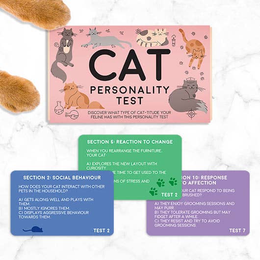 Image of a playful cat with text overlay: "Cat Personality Test" inviting users to discover their cat's traits.