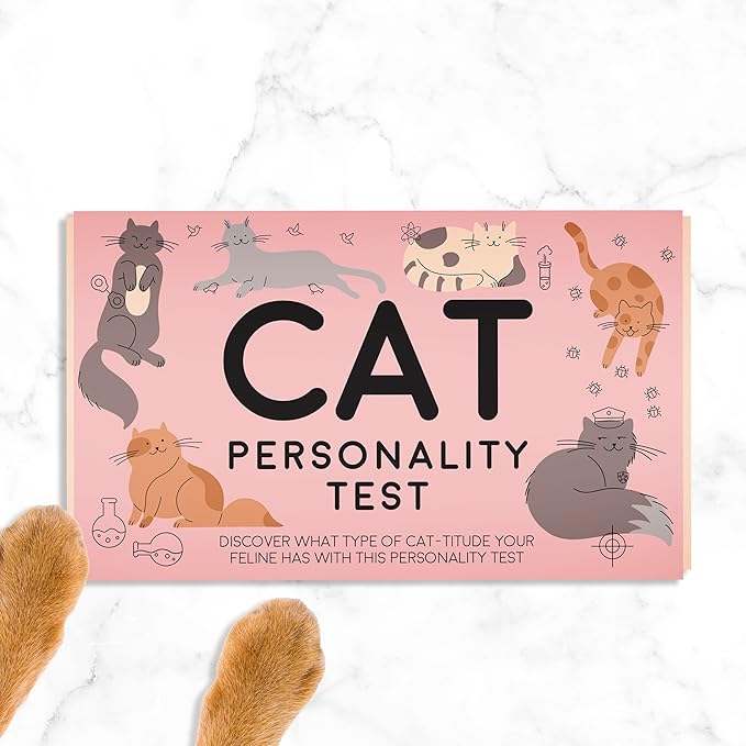 Image of a playful cat with text overlay: "Cat Personality Test" inviting users to discover their cat's traits.