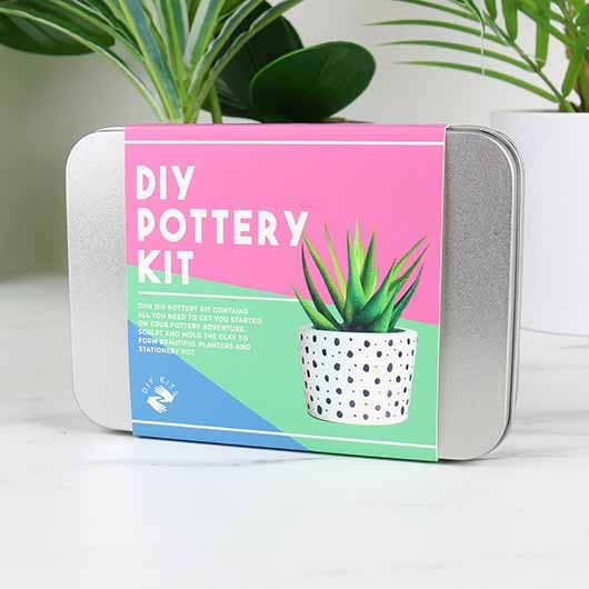 A DIY pottery kit featuring tools and materials to create a planter for a succulent plant.