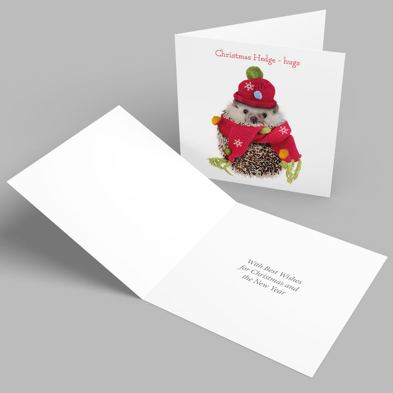 Christmas Hedge Hugs Mind Charity Christmas Cards - Pack of 10