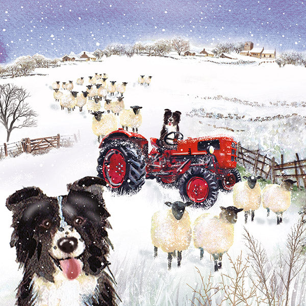 Sheps Tractor Mind Charity Christmas Cards- Pack of 10