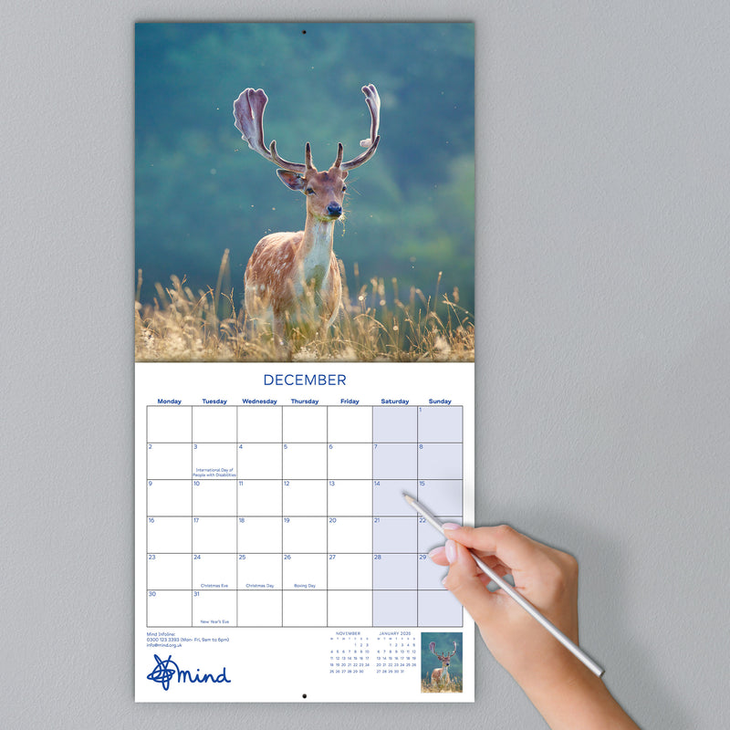 British Wildlife Photography Mind Charity Calendar 2024