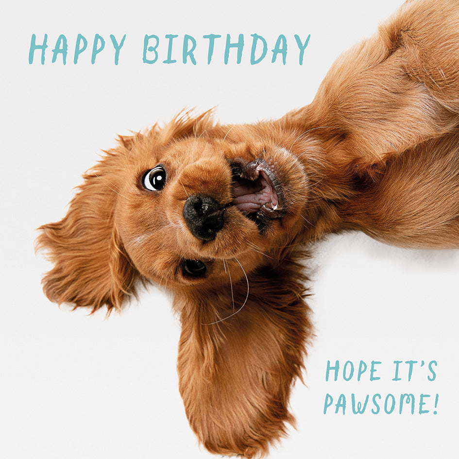 Birthday card with dog image