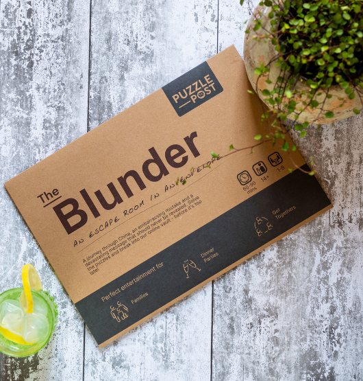 The cardboard packaging of The Blunder Puzzle box sits next to a plant, creating a simple and natural display.