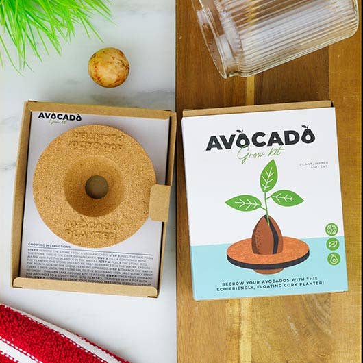 An avocado seed starter kit displayed with pots, soil, and tools designed for cultivating avocado plants at home.