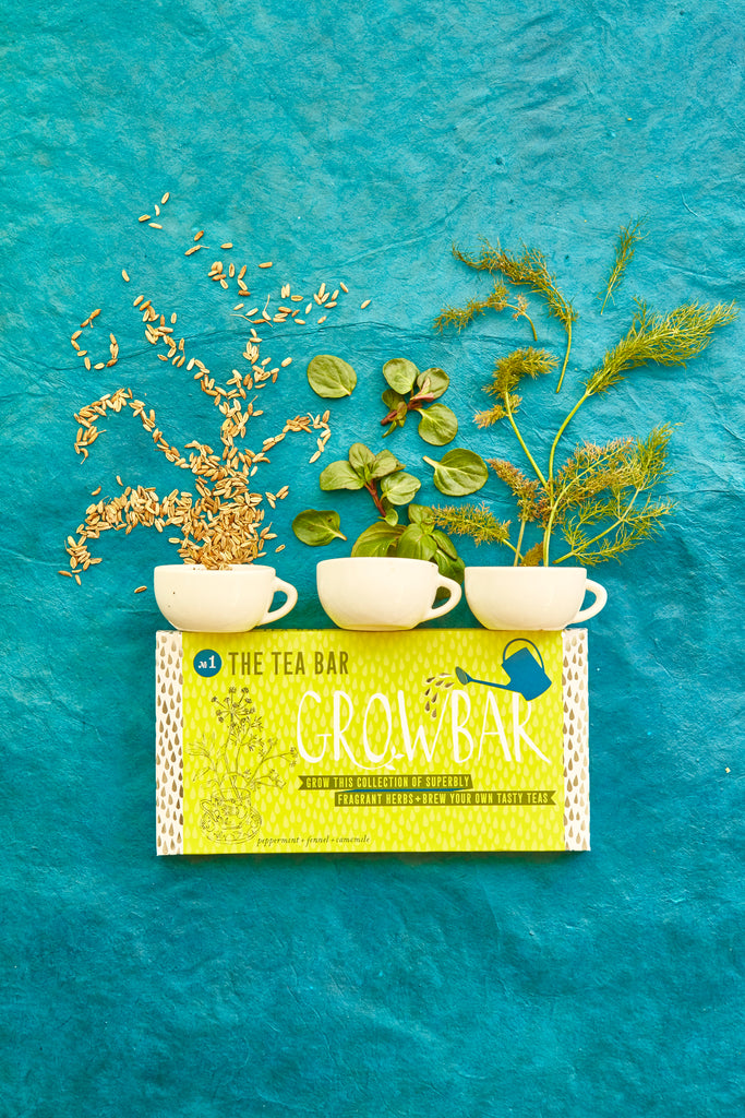Growbar Tea Bar in bright yellow packaging underneath 3 cups with herbal arrangements on a blue textured background